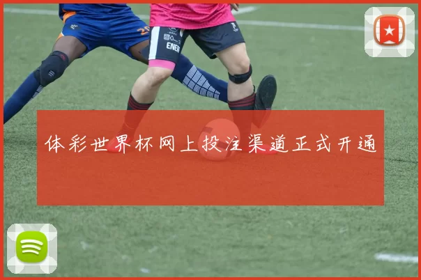 体彩世界杯网上投注渠道正式开通