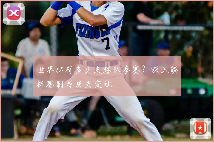 世界杯有多少支球队参赛?深入解析赛制与历史变迁