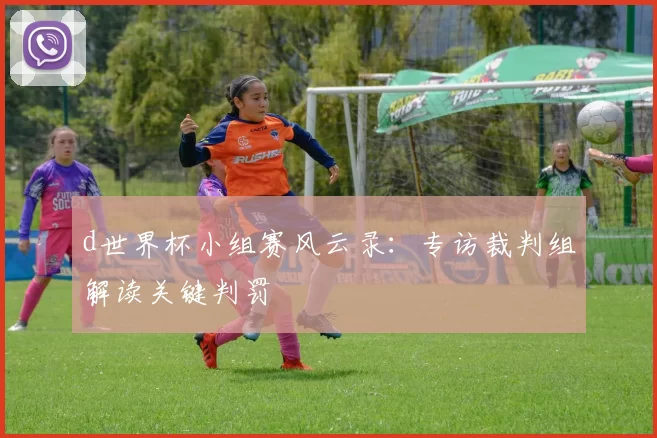 d世界杯小组赛风云录：专访裁判组解读关键判罚