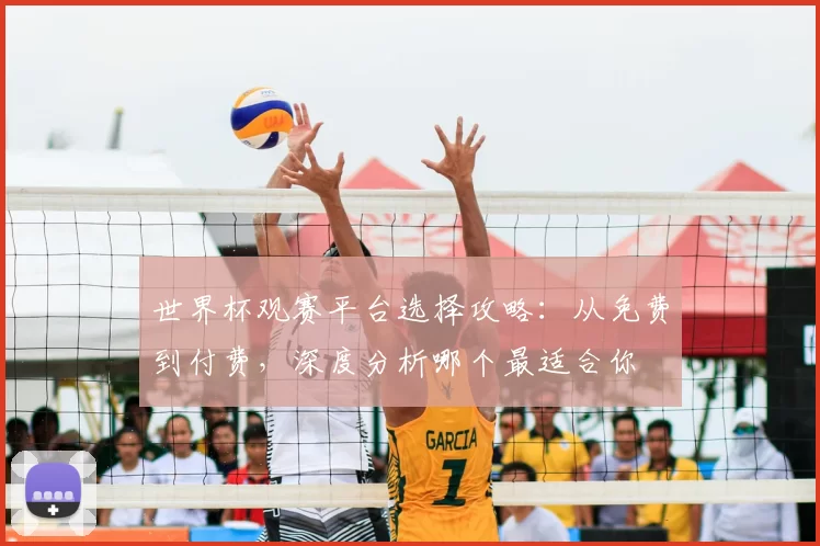 世界杯观赛平台选择攻略：从免费到付费，深度分析哪个最适合你