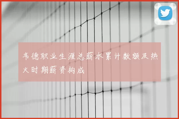 韦德职业生涯总薪水累计数额及热火时期薪资构成