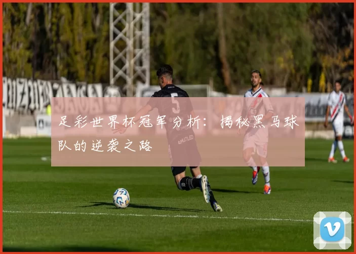 足彩世界杯冠军分析:揭秘黑马球队的逆袭之路