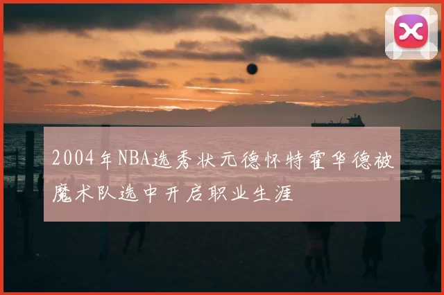 2004年NBA选秀状元德怀特霍华德被魔术队选中开启职业生涯
