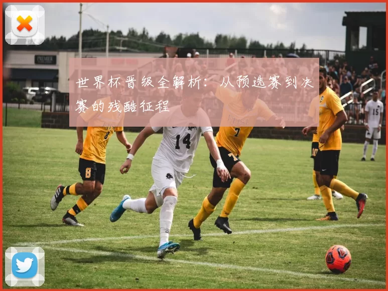 世界杯晋级全解析:从预选赛到决赛的残酷征程