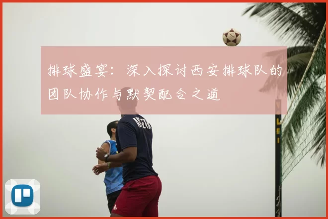 排球盛宴：深入探讨西安排球队的团队协作与默契配合之道