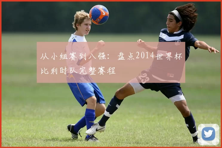 从小组赛到八强：盘点2014世界杯比利时队完整赛程