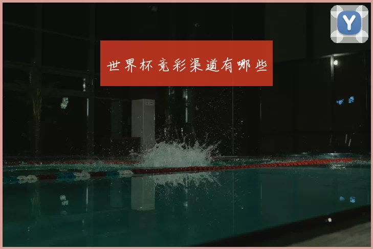 世界杯竞彩渠道有哪些