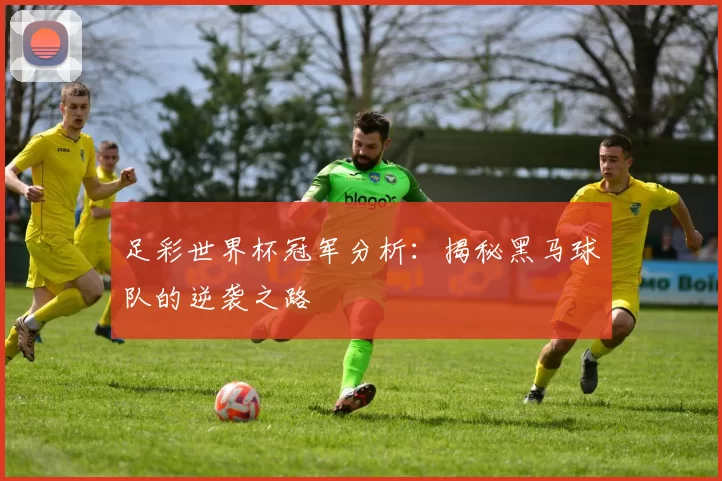 足彩世界杯冠军分析:揭秘黑马球队的逆袭之路