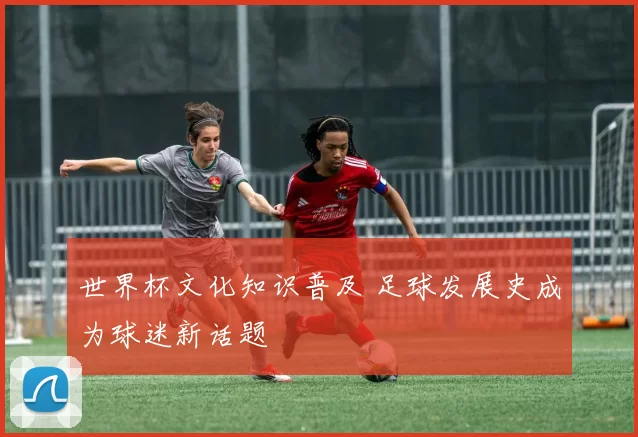 世界杯文化知识普及 足球发展史成为球迷新话题
