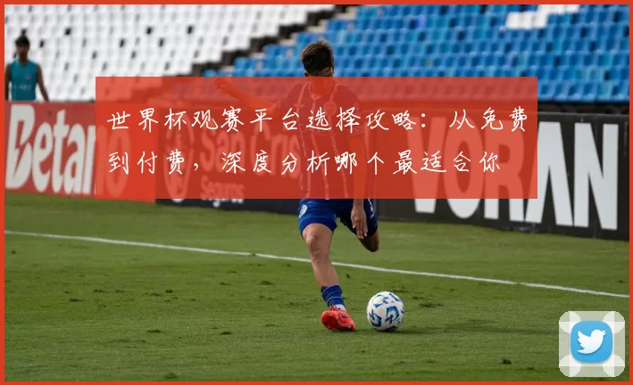 世界杯观赛平台选择攻略：从免费到付费，深度分析哪个最适合你