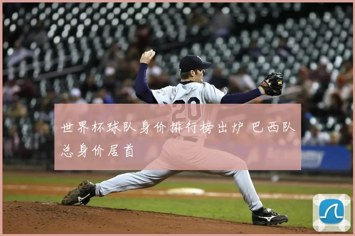 世界杯球队身价排行榜出炉 巴西队总身价居首