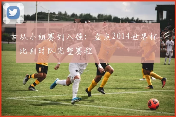 从小组赛到八强：盘点2014世界杯比利时队完整赛程