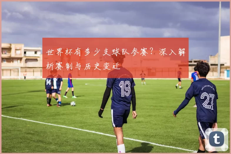 世界杯有多少支球队参赛?深入解析赛制与历史变迁